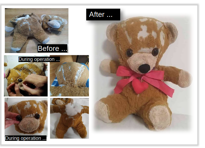 Bear