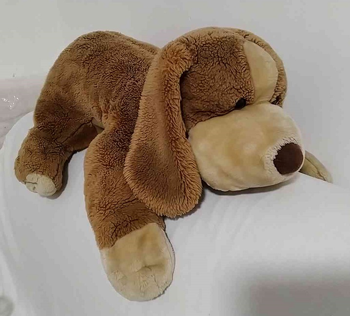 Large floppy brown cream dog