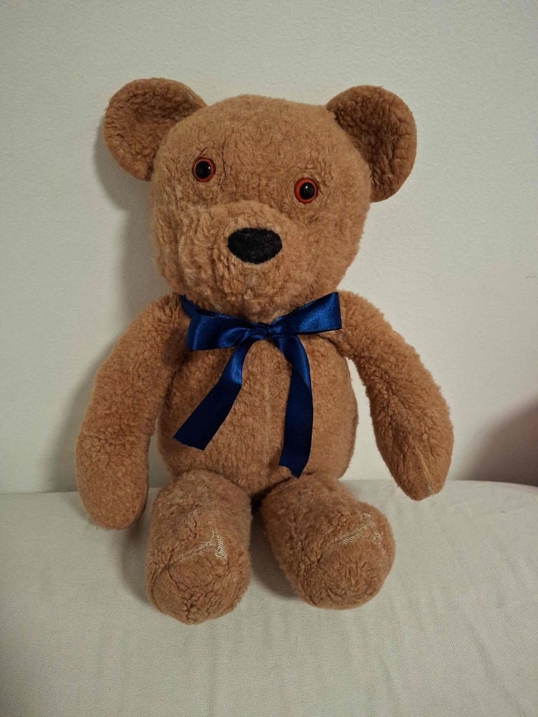Brown sherpa teddy blue ribbon