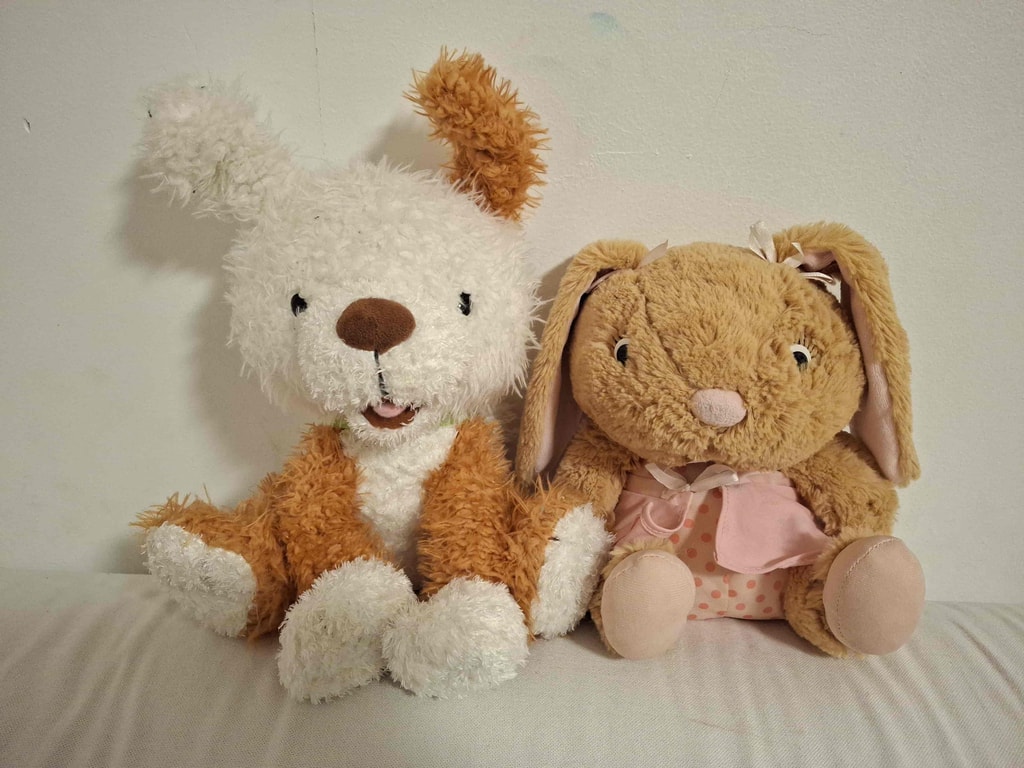Hallmark reading buddy teddy