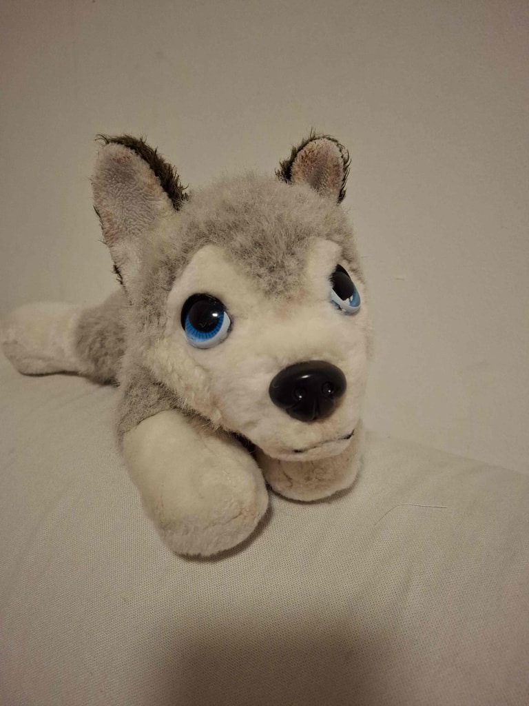 Beanie Boo husky plush