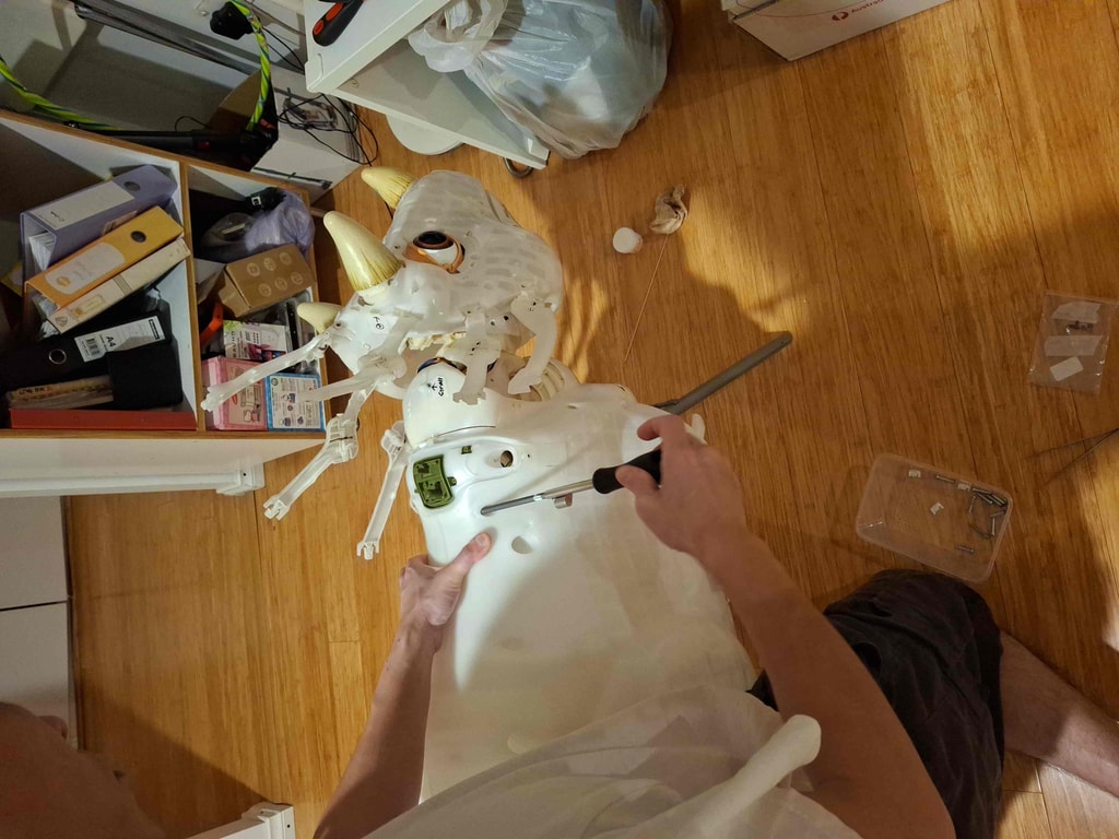 Repair in progress 14
