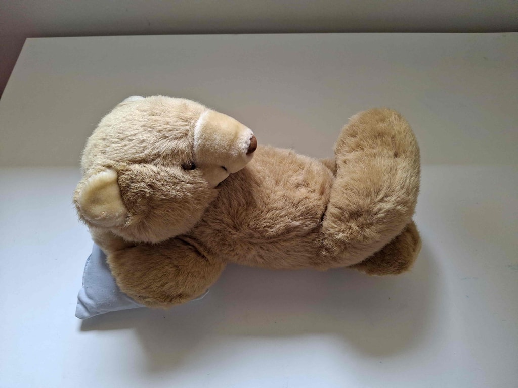 Sleeping tan teddy blue pillow