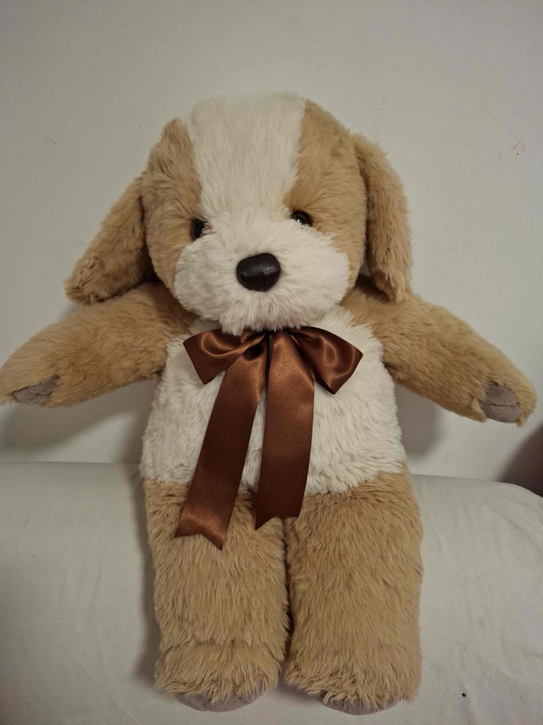 Tan shaggy dog brown ribbon