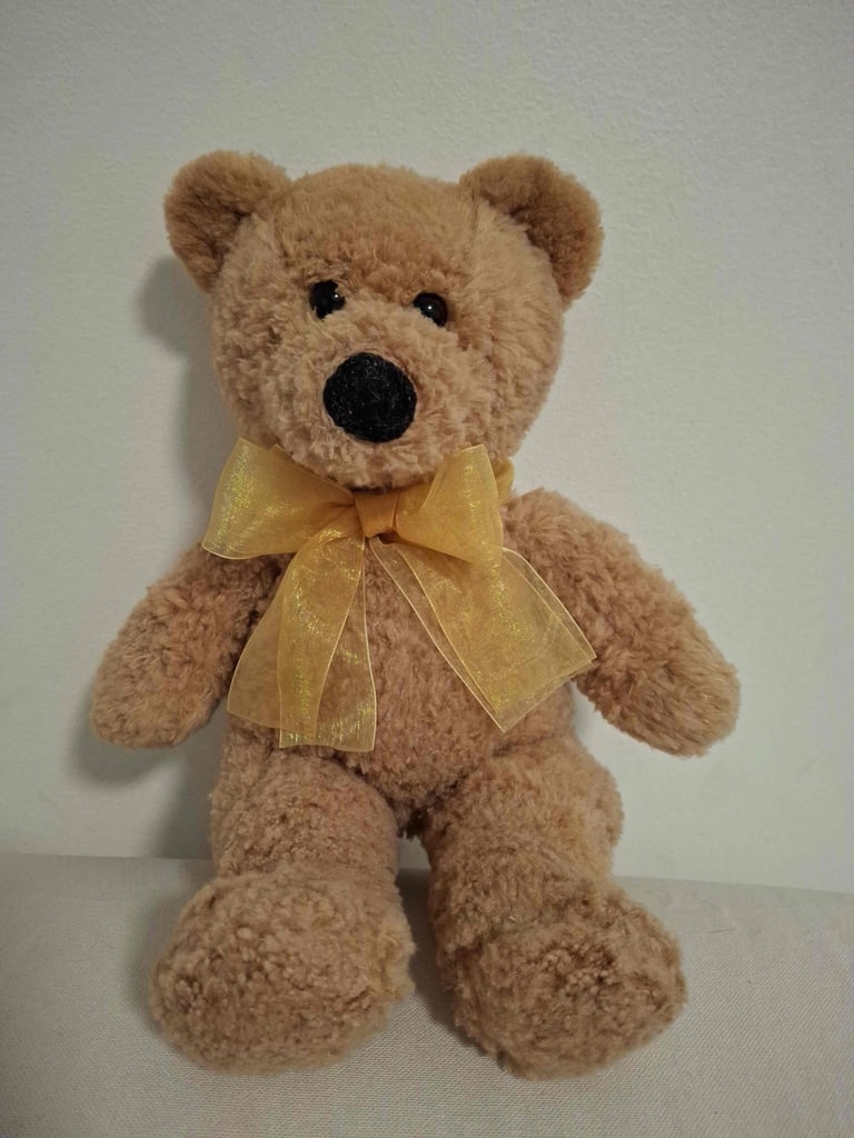 Curly sherpa teddy gold organza bow