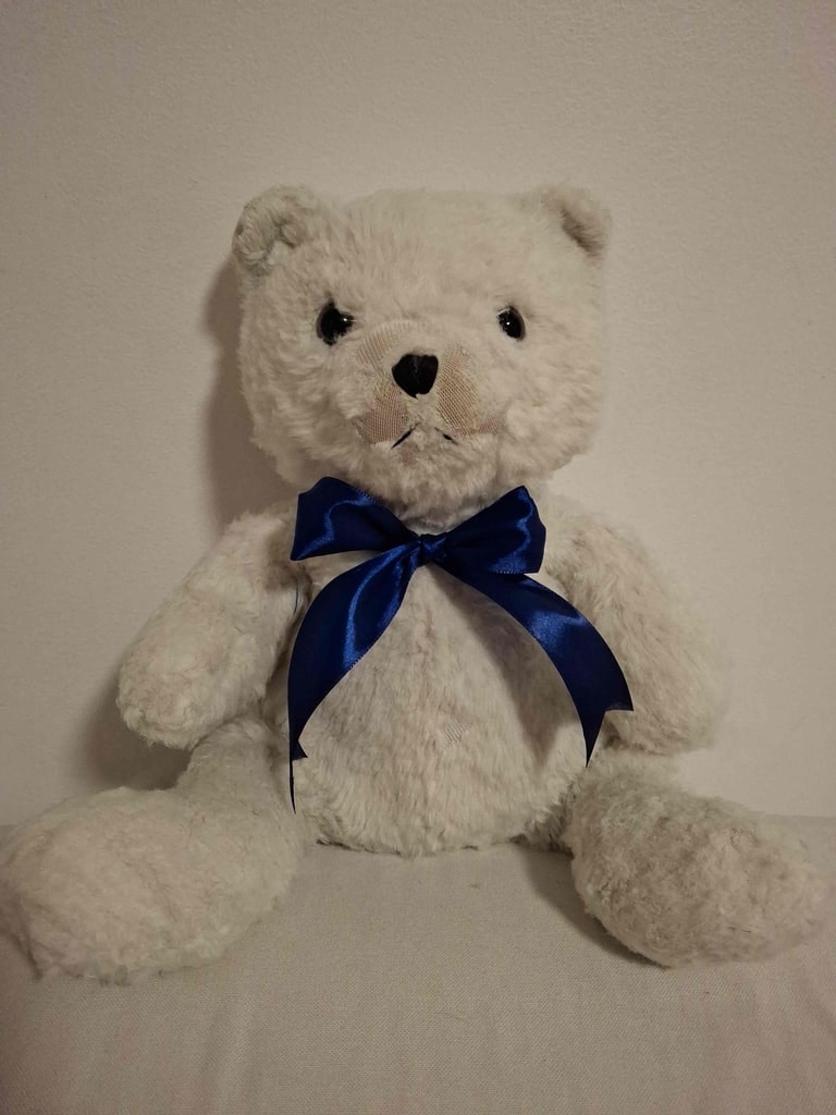 Cream teddy blue satin bow