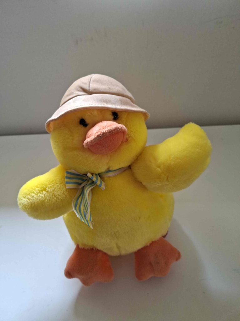 Russ Ducksley singing duck