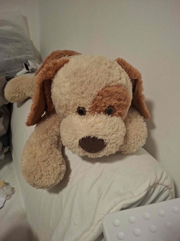 Tan cream floppy dog plush