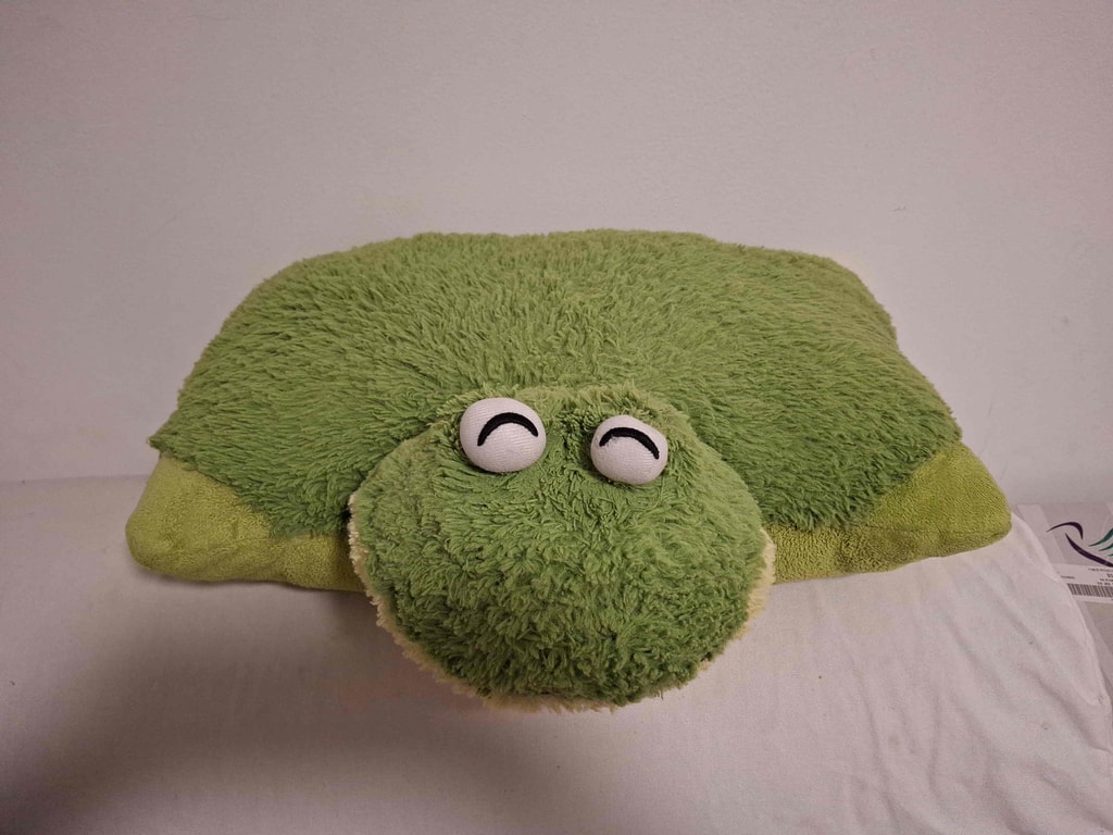 Green frog pillow plush — repair